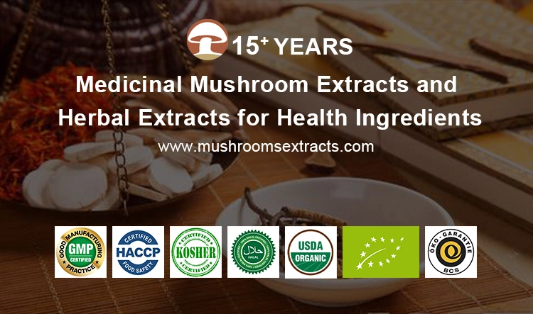 Organic Hericium Erinaceus Mushroom Plant Extract Lion′ S Mane Extract Mushroom Herbal Powder with Water Soluble for Immunity