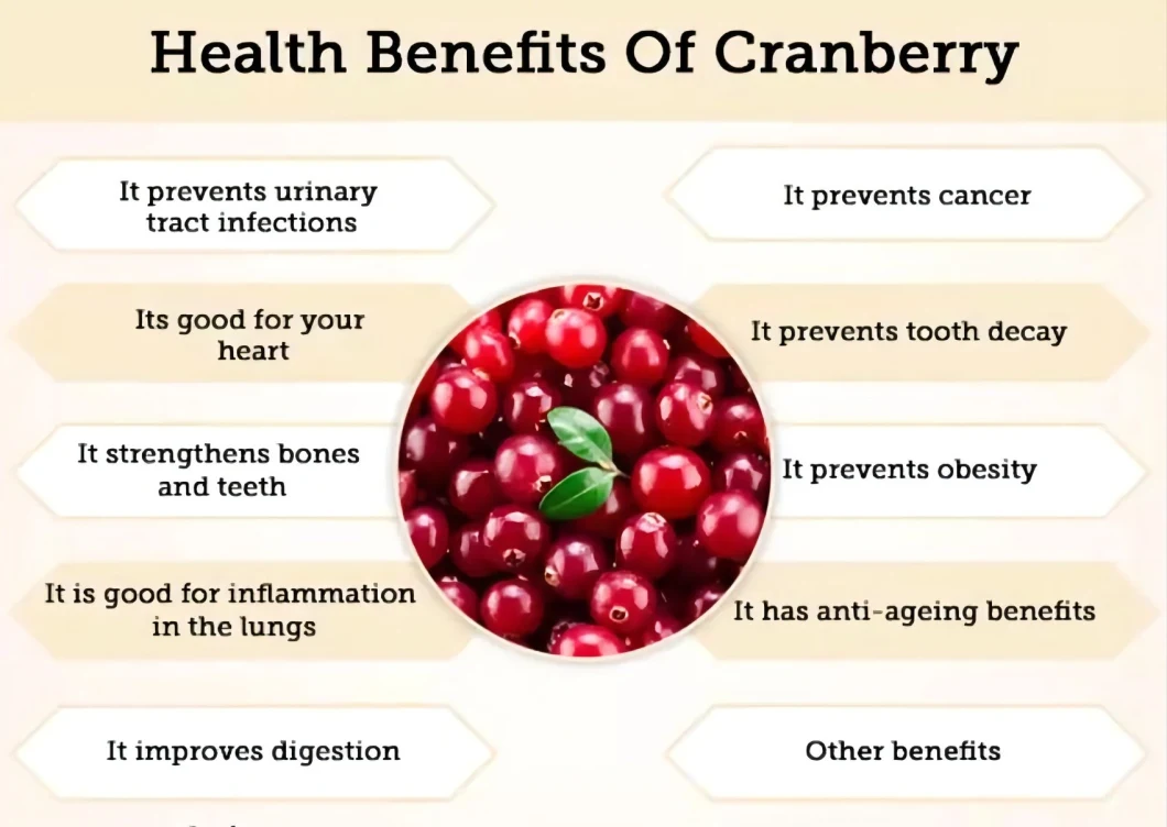 ISO & Halal Certified Herbal Extract Cranberry Juice Concentrate Cranberry Powder Cranberry Extract with PAC 25%